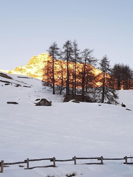 Apartment Kenne, A 200m Dagli Impianti Monterosaski *